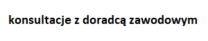 Treść przycisku: Konsultacje z doradcą zawodowym, przejdź do zakładki e-konsultacje z doradcą zawodowym